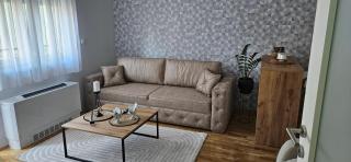 Apartman Pavle - Bijeljina - 8