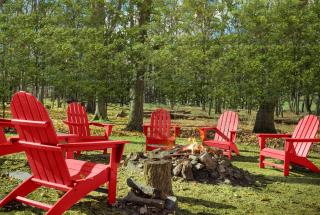 Hot Tub, FirePit, Large Yard, Screened Porch, WiFi - Berkeley Springs - 7