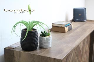 Bamboo Milano Isonzo - Milan - 5