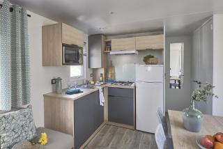 Mobil home 3 chambres climatisé - Saint-Julien-en-Born - 9