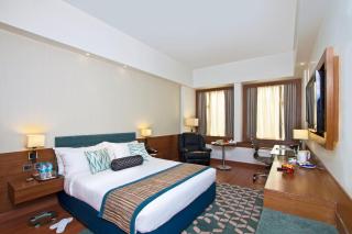 Hotel Maurya Patna - Patna - 1