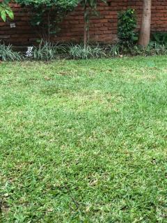 Home stay with Joy - 5