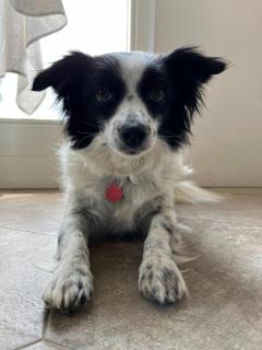 Agriturismo Qui e Ora - 5