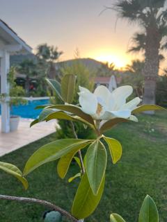 Breath Academia Guest House - Urla - 8