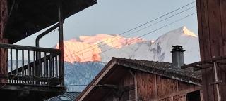 Appartement 1 chambre idéalement situé - 8