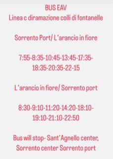 L arancio In fiore bad&breakfast - Sant'Agnello - 3