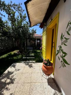 Kanai Konuk & Zeytin Evi - Dikili - 5