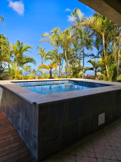 La Case des Palmistes 4 Etoiles, piscine jacuzzi, billard, et vue océan - Petite Île - 8