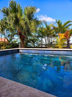 La Case des Palmistes 4 Etoiles, piscine jacuzzi, billard, et vue océan - Petite Île - 9