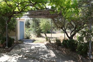 Kallista Livadakia - 9