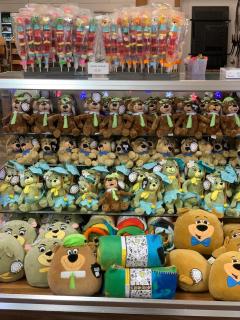 Yogi Bear's Jellystone Park at Lake Monroe - 1