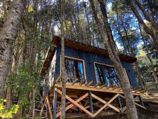 Tiny house sobre el lago nahuel huapi - San Carlos de Bariloche - 9