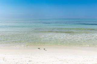 SeaCrest 614- by Holiday Isle Properties - 5