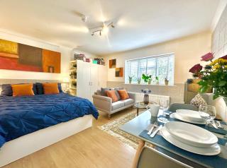 Damos Living Business Studio En-Suite Bathroom Garden view - Londra - 5