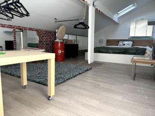 Duplex cozy avec entrée autonome, proche bus - 8