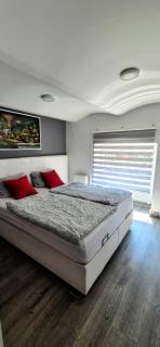 Obala Apartment - Sarajevo - 3