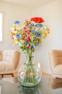 Villa Panoramique - Lac du Bourget - 2