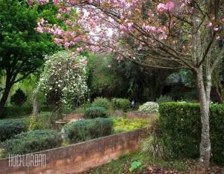 Birches Cottage & the Willows Garden Room - Underberg - 6