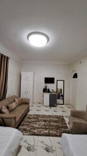 orkide - Il Cairo - 9