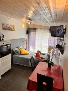 Résidence Les Alizés ''Sauna Jacuzzi Piscine en plein centre ville" - La Roche-sur-Yon - 8