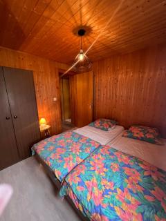 Chalet Les Rocailles - 1