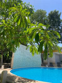 R Las chulas - Puerto Morelos - 3