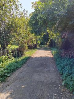 Domacinstvo Pecina Petnica - 4