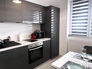 Downtown Apartments Pécs - Pécs - 3
