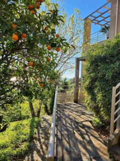 Très bel appartement en résidence avec parking - Bastia - 3