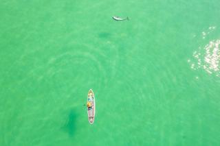 Shoreline Towers 1084- by Holiday Isle Properties - Destin - 5