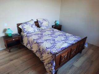 Maison charmante à Campsas avec terrasse et jardin - Campsas - 9