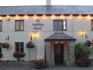 The Babbling Brook - 7