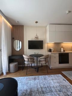 Golden Olive Boutique Studio Apartment with Private Parking - Novi Sad - 5