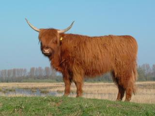 Delightfully - Purmerend - 3