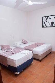Hotel Hellenika - León - 8