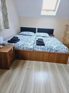Apartament pod laskiem - Bystrzyca Kłodzka - 1