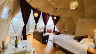 The SAFIRA Dome at FéLIZA Rainforest Domes - 7