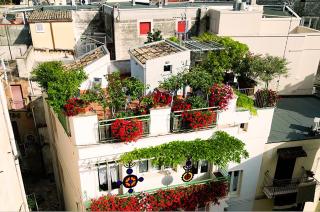 Casa Farella B&B in SUITES Apartments Altamura x Matera - Altamura - 9