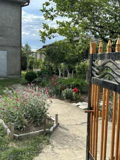 Cozy cottage - Zugdidi - 2