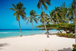 Coconut Court Beach Hotel - Bridgetown - 0