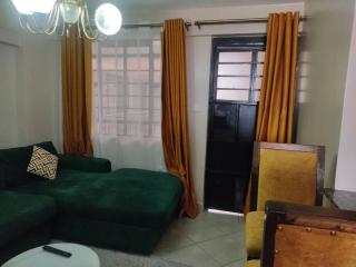 Nancy's Nest Fast Internet Free Parking,South B - Nairobi - 8