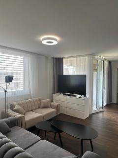Apartment in Basel City Center - EXPO Basel - 0
