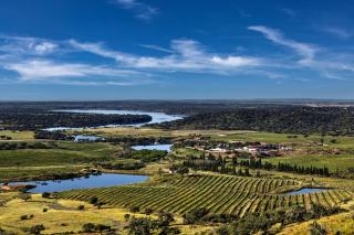 Herdade Do Sobroso Wine & Luxury Boutique Hotel - Pedrógão - 5