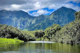 Hanalei Waterfalls House TVNC #5120 - 7