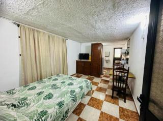 Holiday Palm studio - Quatre Bornes - 0