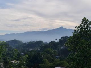 Wagi Villa " Free pickup from kandy" - Kandy - 1
