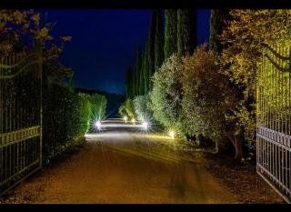 Ghiaccio Bosco - Capalbio - 7