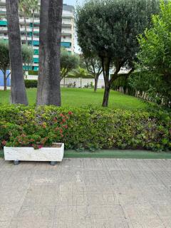 LaraMar - Playa de Gandia - 7