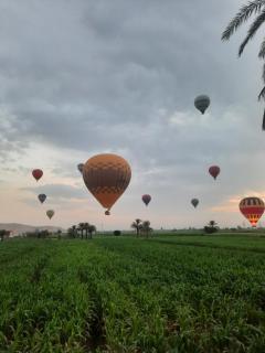 The royal flat for rent - 3