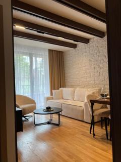 Helikon Zlatibor Apartman 310 - Palisad - 9